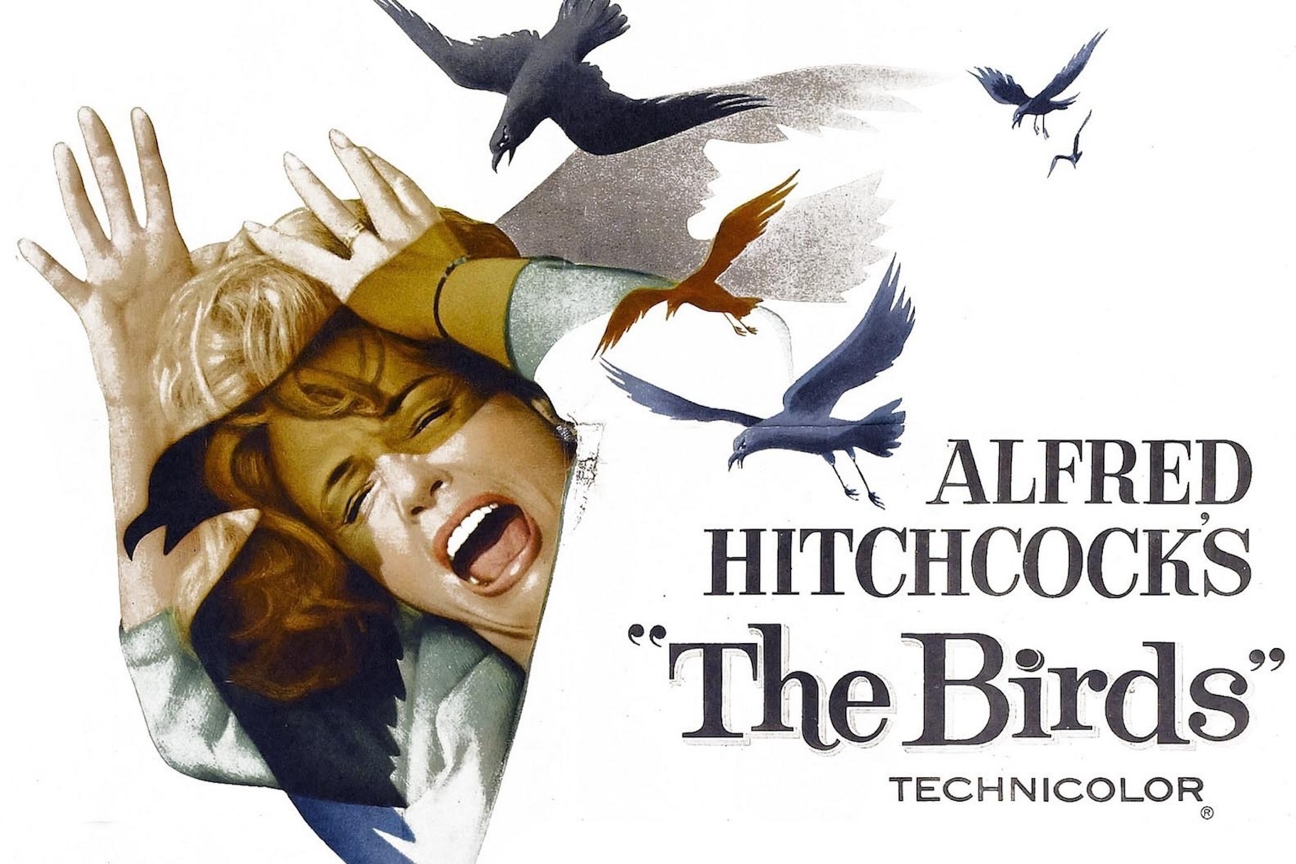 The Birds' ending is terrifying because it doesn't explain 